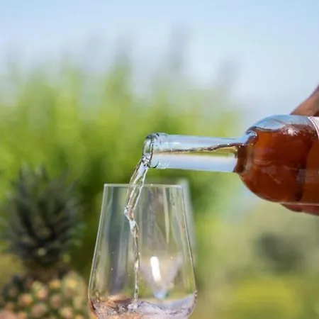 Cavalier Lefkada Av *