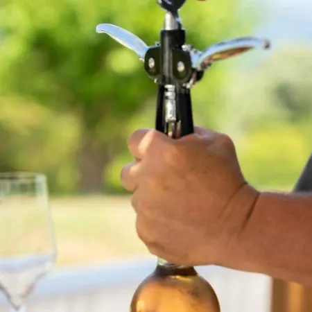 Cavalier Lefkada Av Nikiána